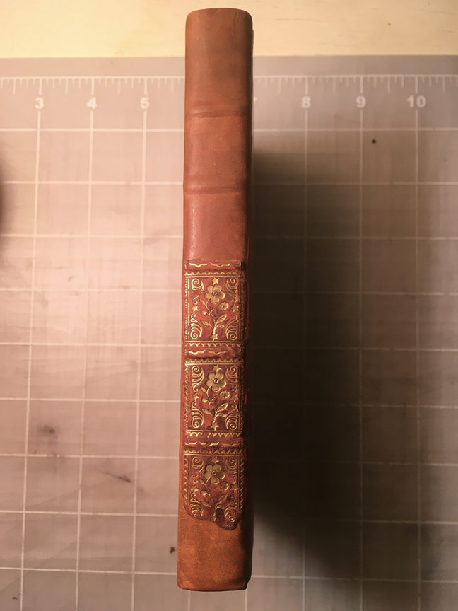 The spine of the book after rebacking is finished.