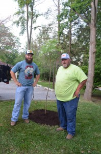 image of groundsmen Chuck Burleson (right) and Tony Albanese planting the raintree