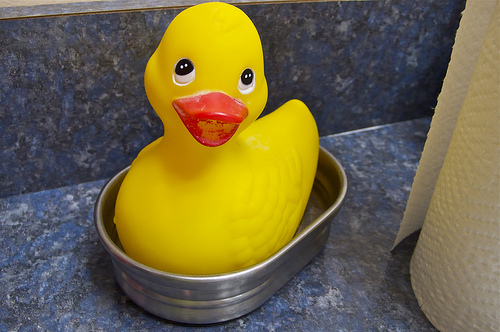 rubber duckie in a tub