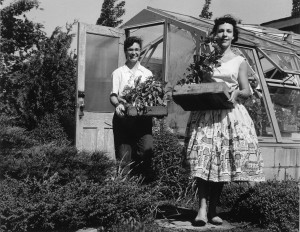  Black and white photograph of two women carrying plants from a greenhouse. 