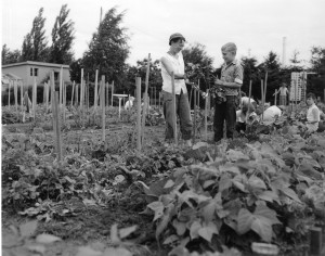  Black and white photograph of a woman and a boy working in a garden. 