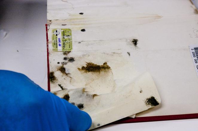  Mold found under the circulation pocket of a book