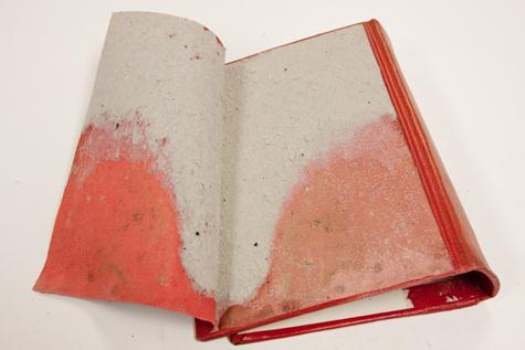  Mold under the cloth covering material of a book