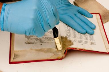  Using brush to remove mold from the gutter of a book