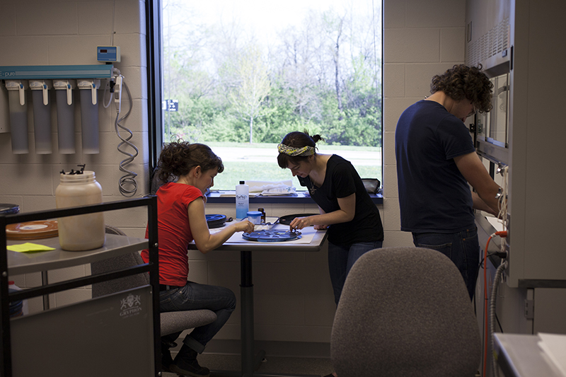 IU Libraries Film Archive staff cleaning mold in the Preservation Lab