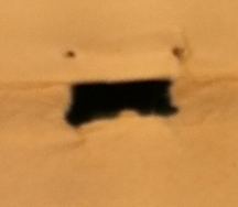 Torn paper which looks like a yelling face.