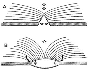 Illustration of tight back and hollow back bindings