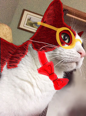 Image of red and white cat with glasses and a bowtie