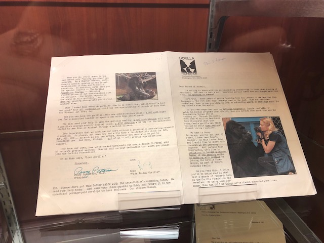 A printed newsletter with pictures of Koko the Gorilla and the gorilla's actual signature in ink.