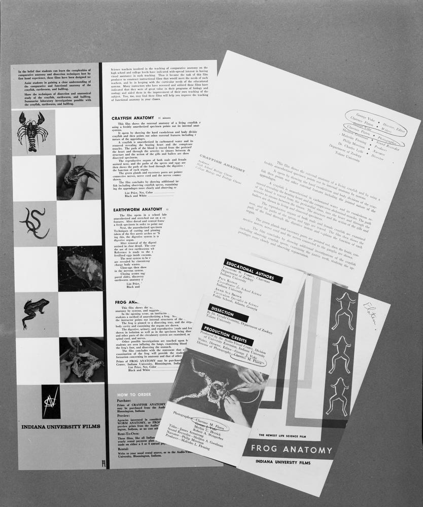 Black and white photograph of film brochures for the program "Frog Anatomy"
