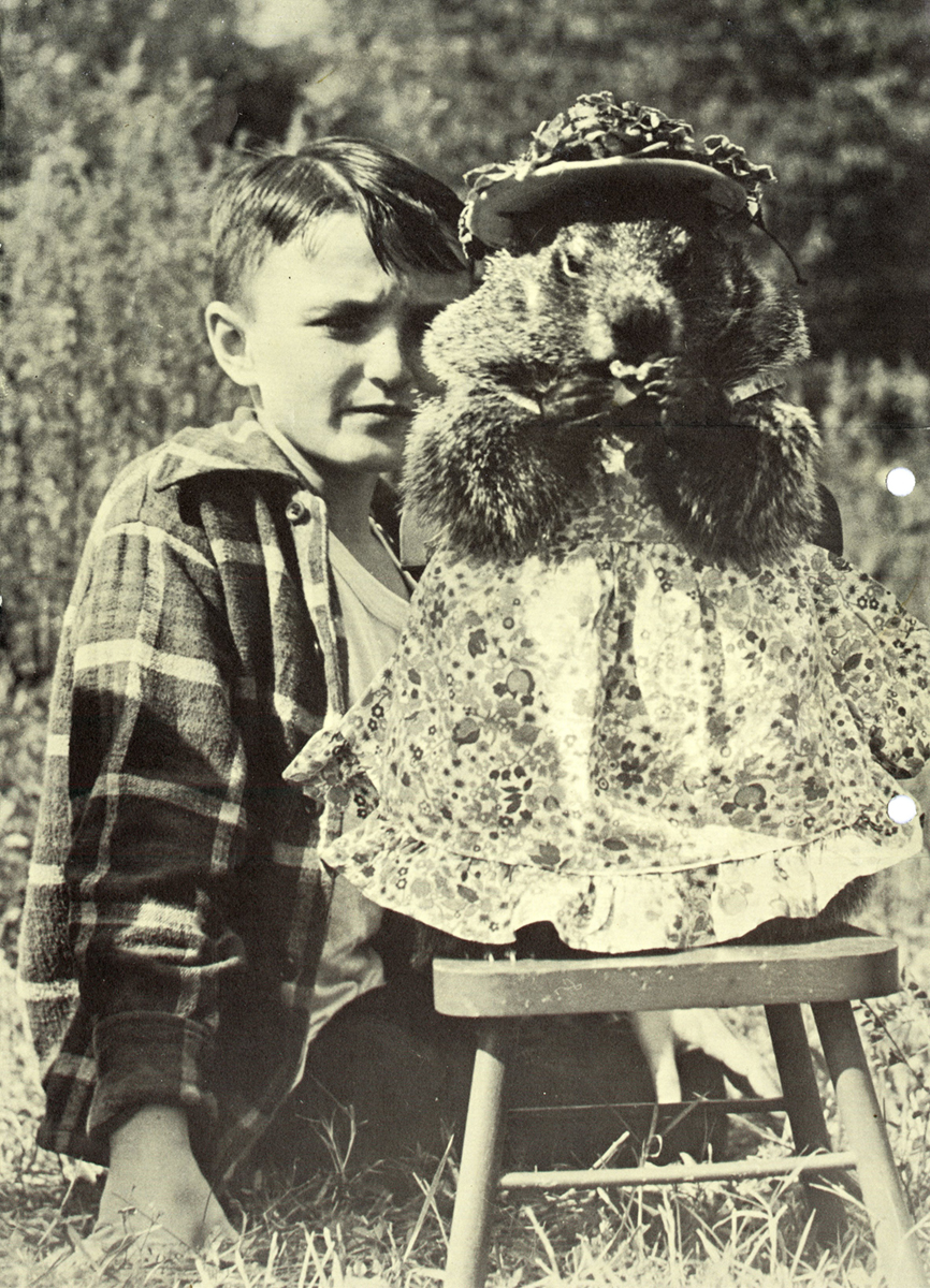 Black and white photograph of a child seated with a groundhog dressed in an apron and hat. 