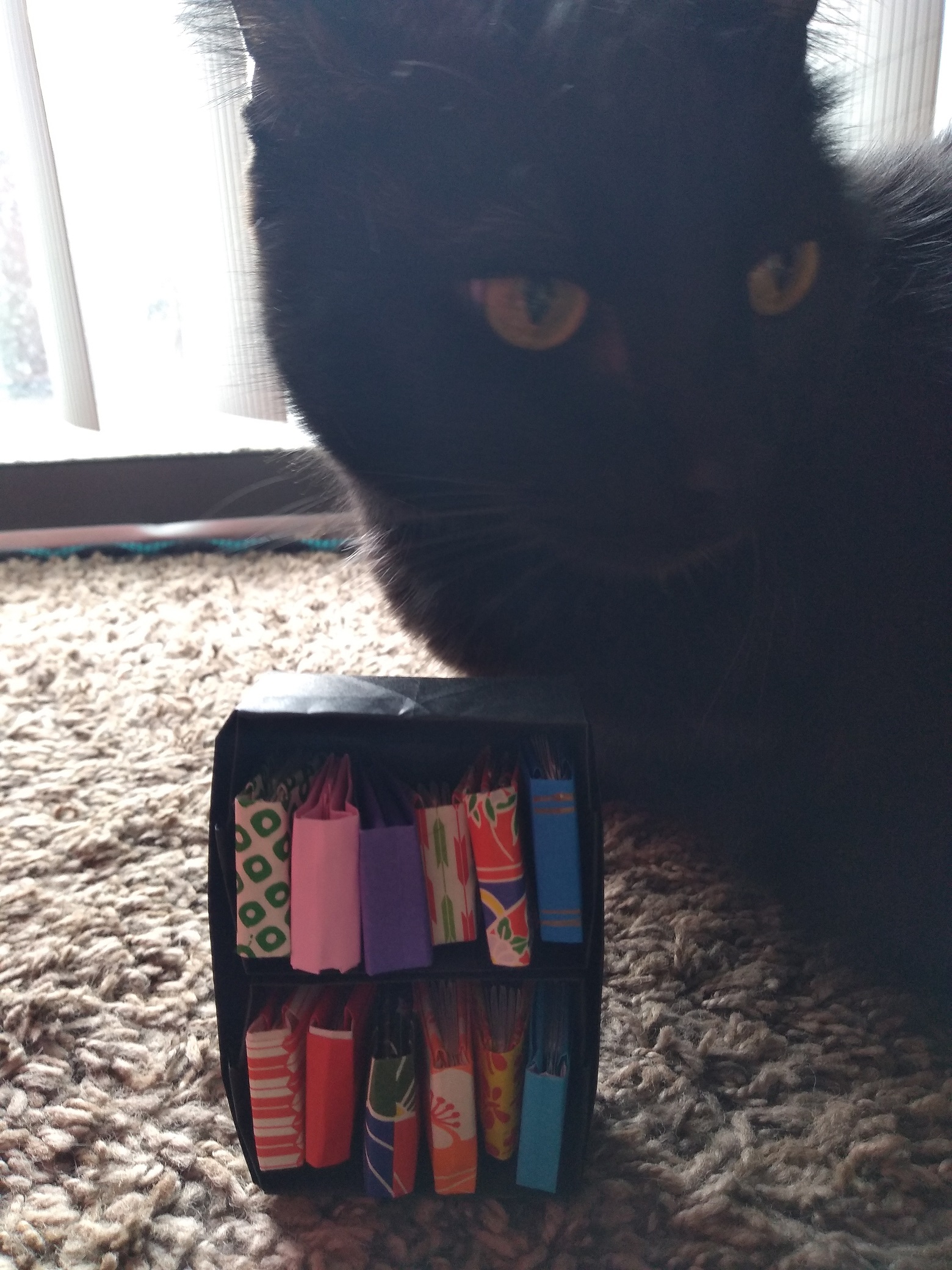An origami bookshelf with tiny origami books on it in front of a black cat.