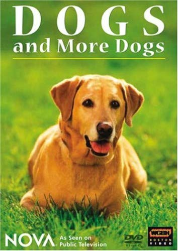 Dogs and More Dogs Poster