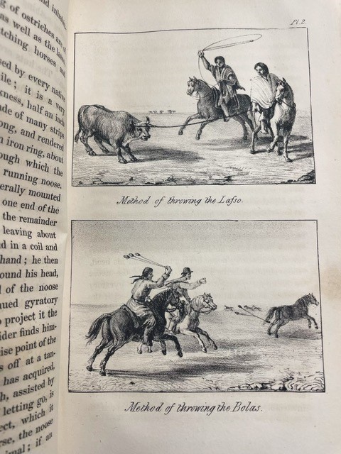 Plate showing two illustrations: "Method of throwing the Lasso" and "Method of throwing the Bolas." The first image shows two people on horseback roping a horned cow with a lasso. The second image shows two people on horseback roping a horse with the bolas.