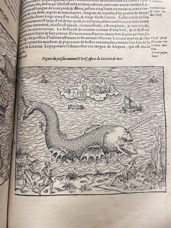 Book open to a page with an engraving of a fearsome-looking narwhale with sharp teeth and large fins