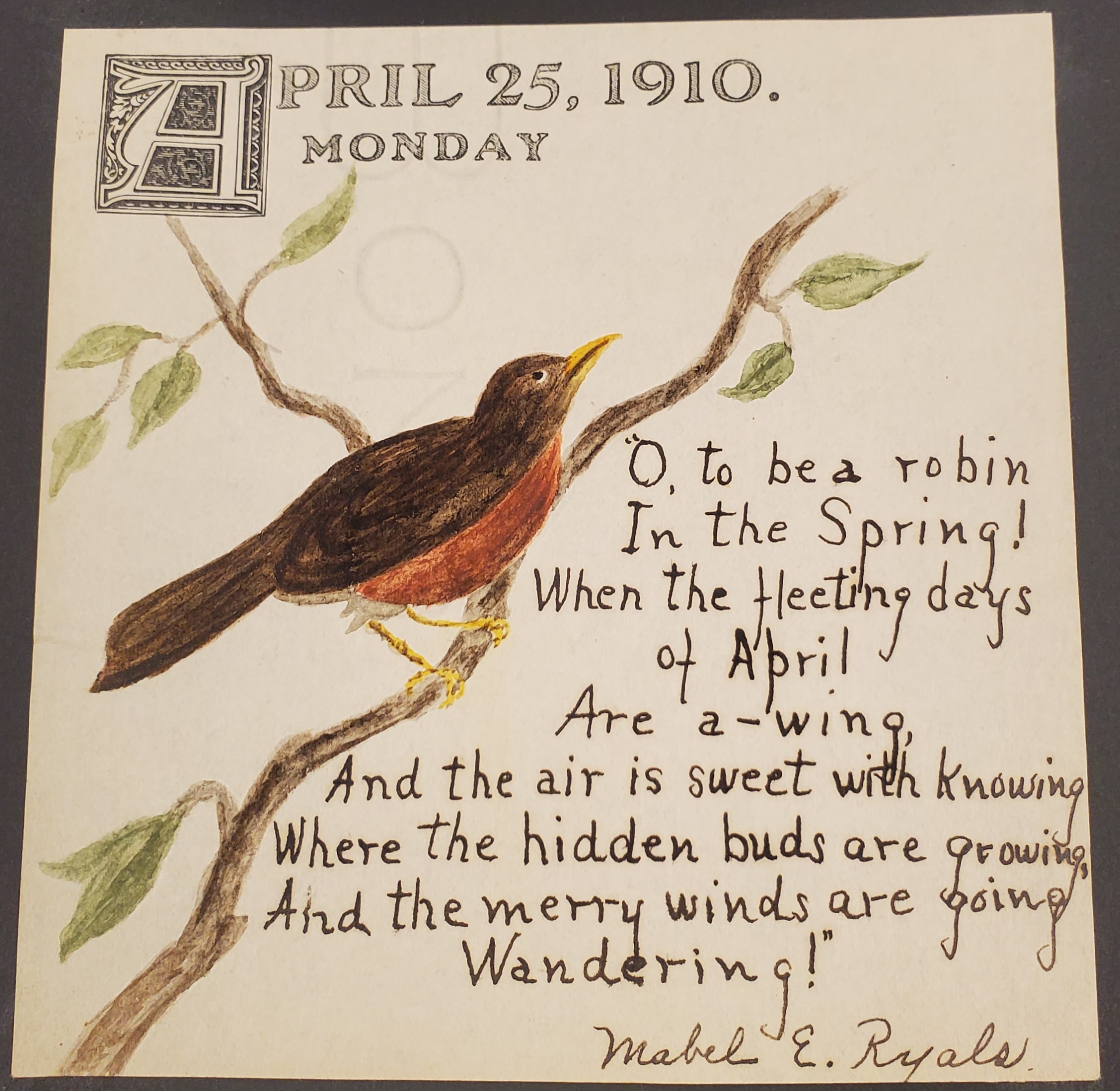 Square note with the date April 25, 1910 at the top. Watercolor robin on a branch and a poem: “O, to be a robin In the Spring! When the fleeting days of April are a-wing, And the air is sweet with knowing, Where the hidden buds are growing, And the merry winds are going Wandering!” The note is signed Mabel E. Ryals
